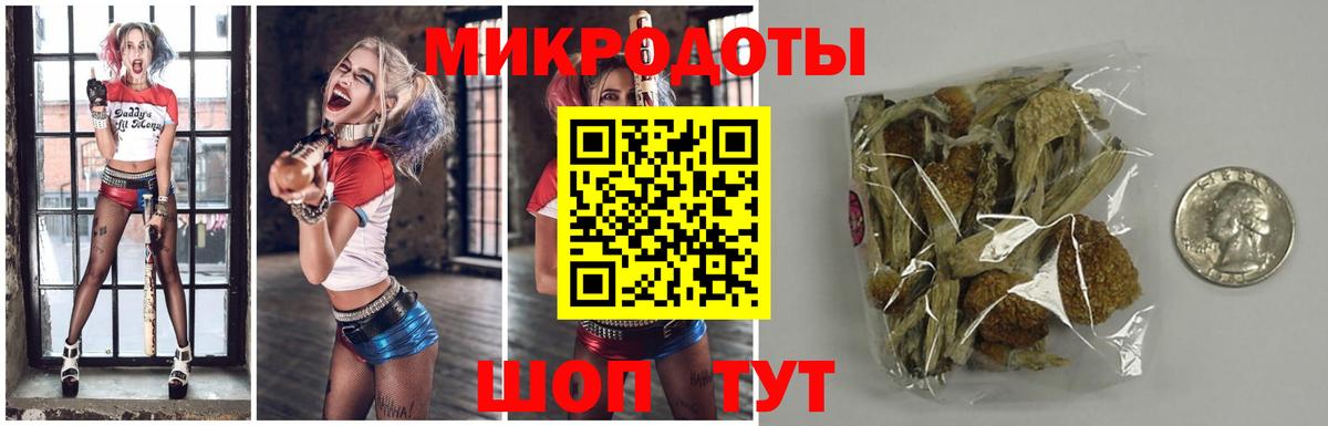 Псилоцибиновые грибы MAGIC MUSHROOMS Котовск