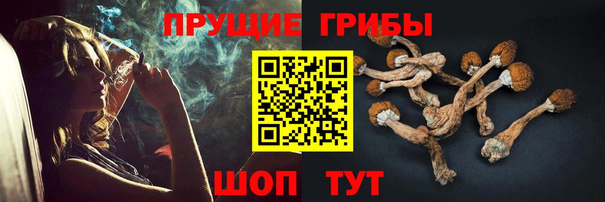 где можно купить наркотик  Галлюциногенные грибы мухоморы  Вход с VPN  Котовск 